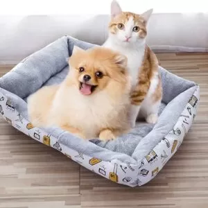 Camas para o teu Pet