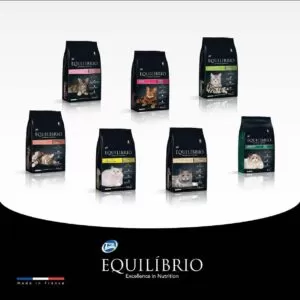 Equilíbrio
