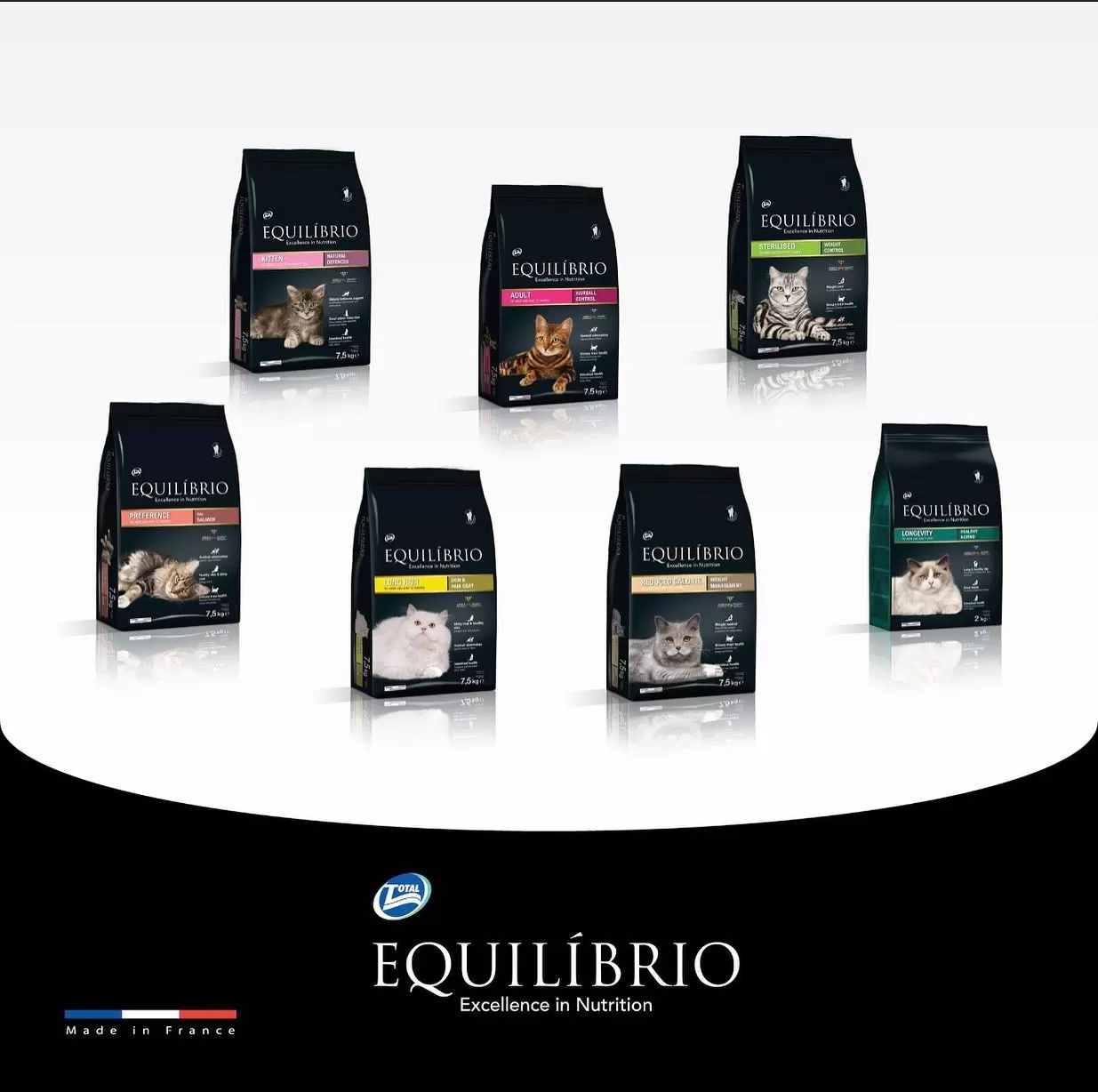 Equilíbrio