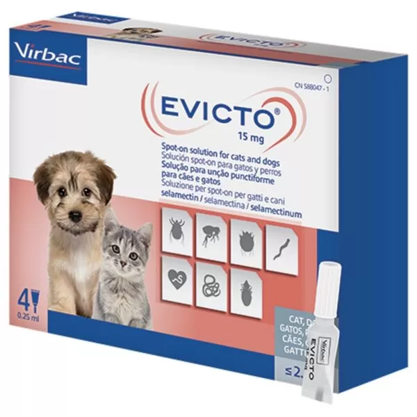 Evicto